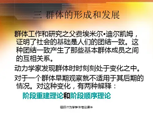 组织行为学群体理论课件