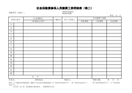 社会保险费参保人员缴费工资明细表(表二)