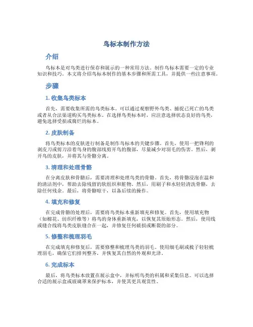 鸟标本制作方法