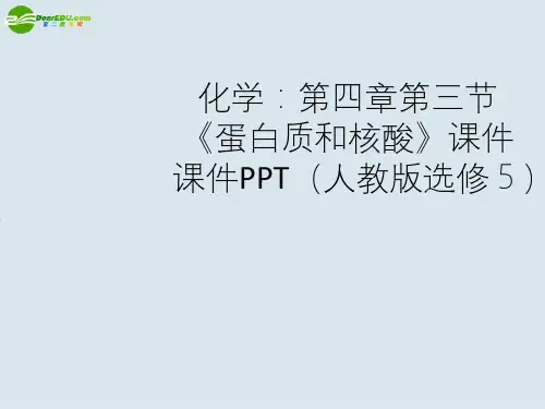 高中化学 第四章第三节《蛋白质和核酸》课件课件 人教版选修5