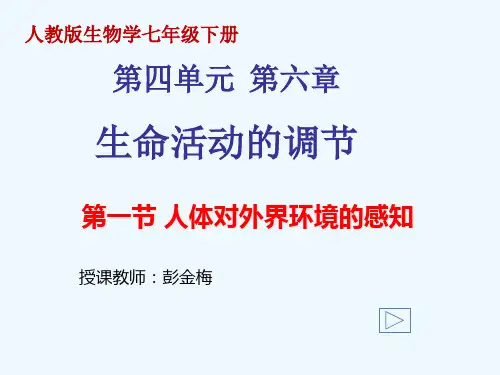 生物人教版七年级下册人体对外界环境的感知(第1课时 眼和视觉)精品PPT课件
