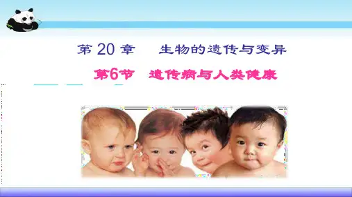 北师大版生物八年级上册20.6《遗传病和人类健康》课件