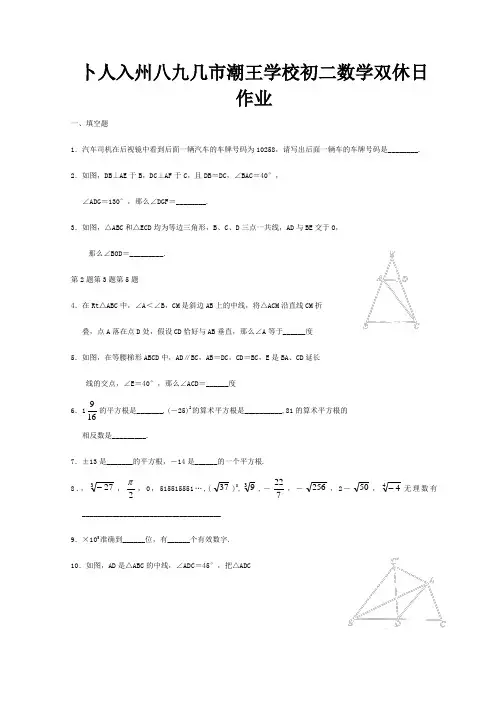 八年级数学双休日作业5试题
