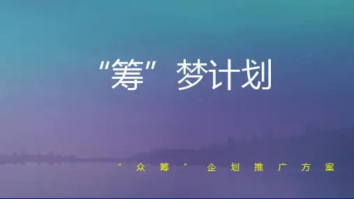 最新众筹项目策划方案 众筹项目案例分析