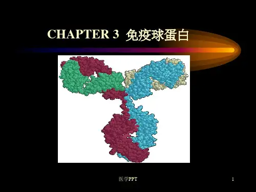 《生物制药》PPT课件