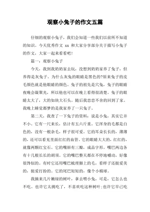 观察小兔子的作文五篇
