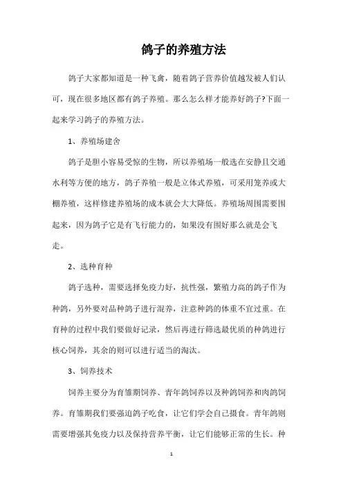 鸽子的养殖方法