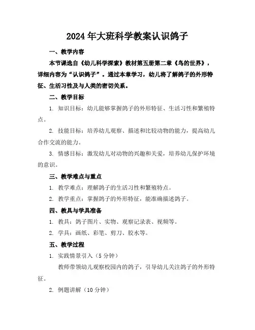 2024年大班科学教案认识鸽子