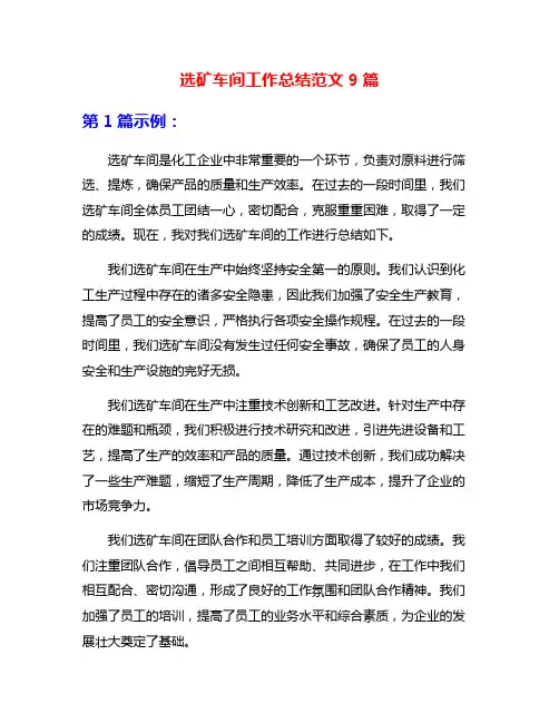 选矿车间工作总结范文9篇