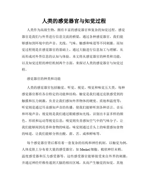 人类的感觉器官与知觉过程