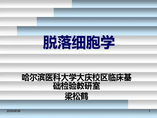 脱落细胞学检查技术及基本知识