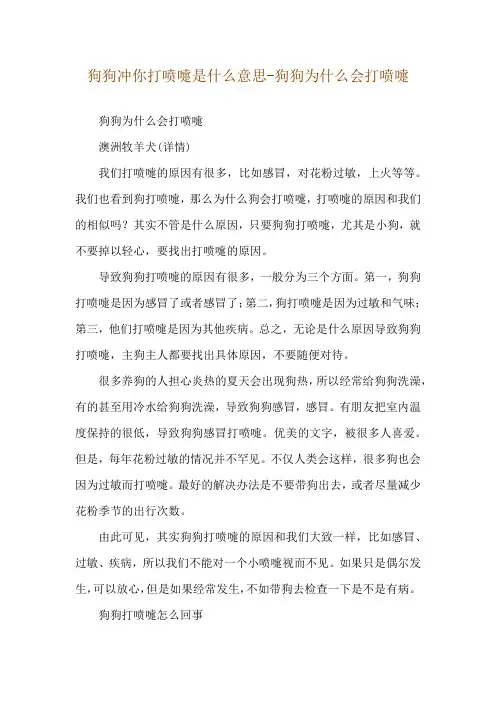 狗狗冲你打喷嚏是什么意思-狗狗为什么会打喷嚏
