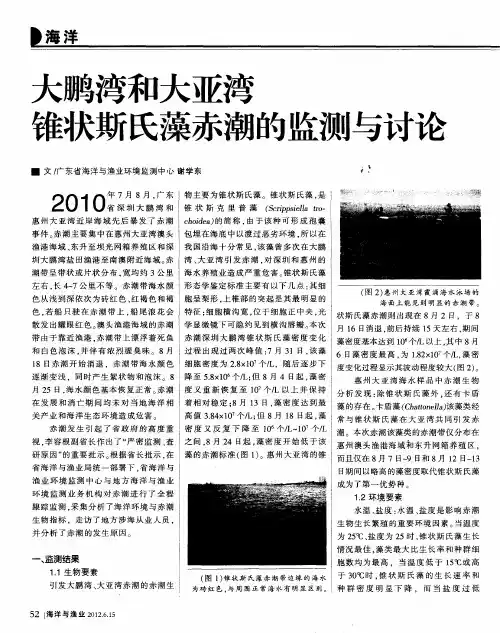 大鹏湾和大亚湾锥状斯氏藻赤潮的监测与讨论