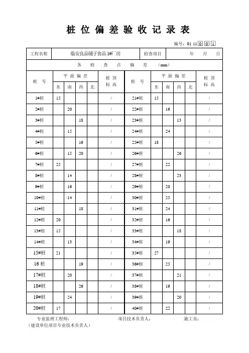 桩位偏差验收记录表