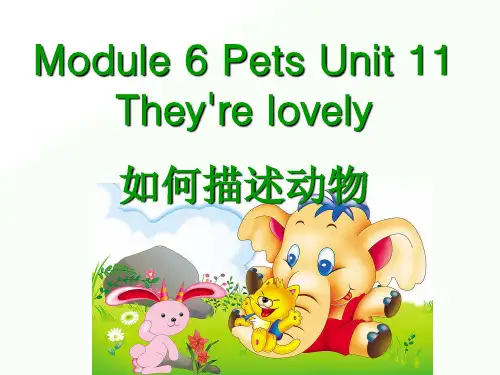 三年级下册英语课件-Module 6 Pets Unit 11 They're lovely1教科版(广州深圳)