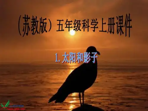 苏教版小学科学五年级上册《太阳和影子》PPT课件之一