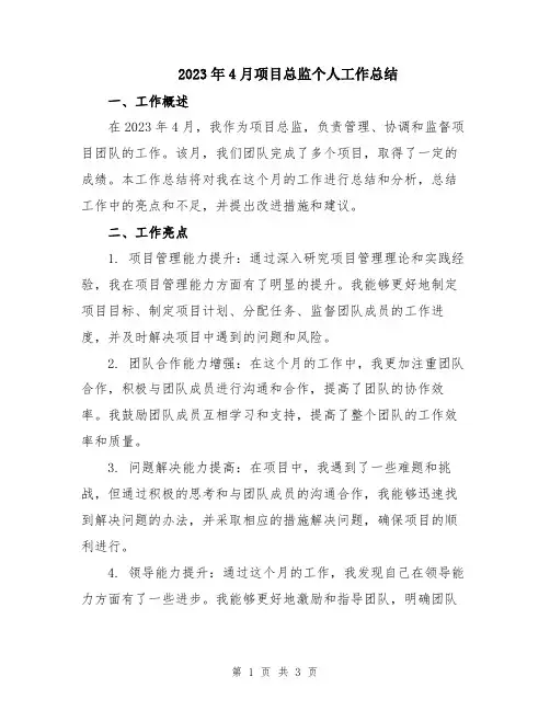 2023年4月项目总监个人工作总结