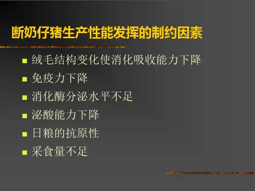 精选断奶仔猪料的营养与工艺