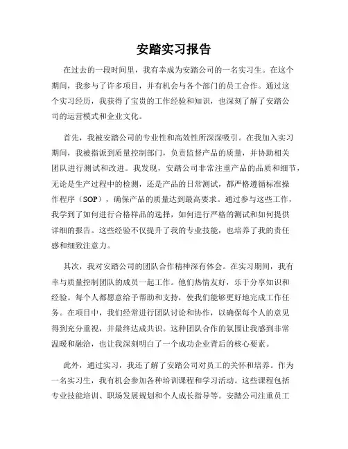 安踏实习报告