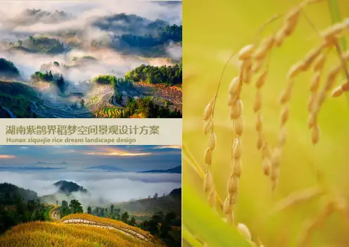 湖南紫鹊界景观设计方案2015.9.15