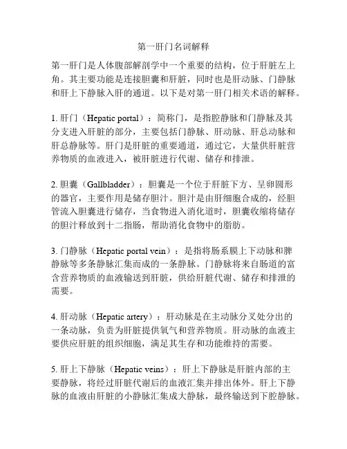 第一肝门名词解释