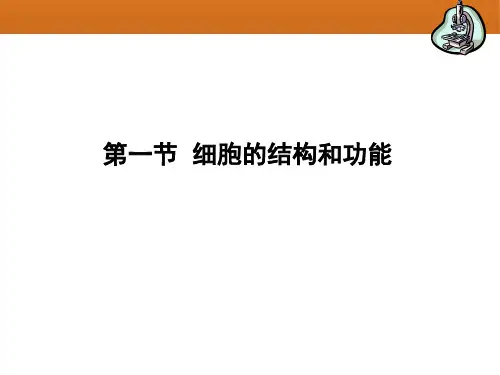 济南版七年级生物上册  1.2.1 细胞的结构和功能 (53张PPT)