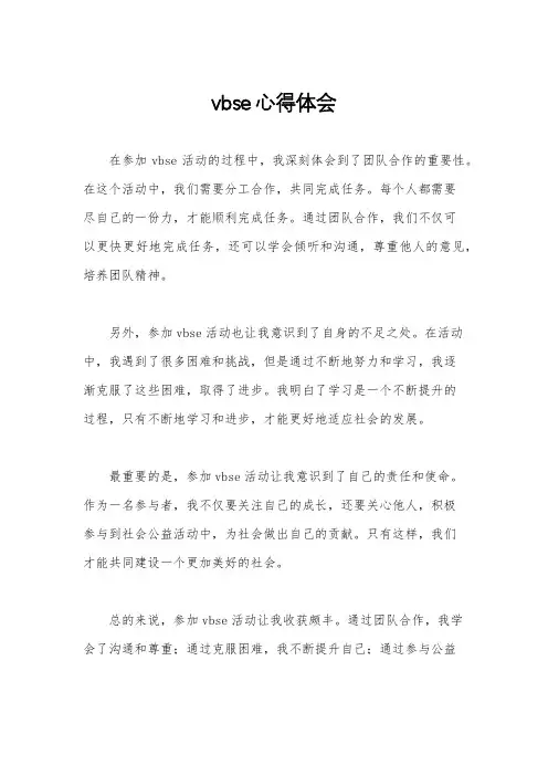 vbse心得体会