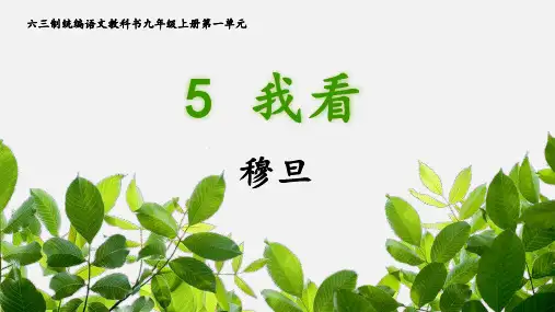 《我看》教学课件