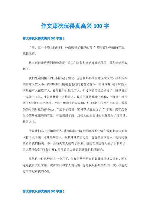 作文那次玩得真高兴500字