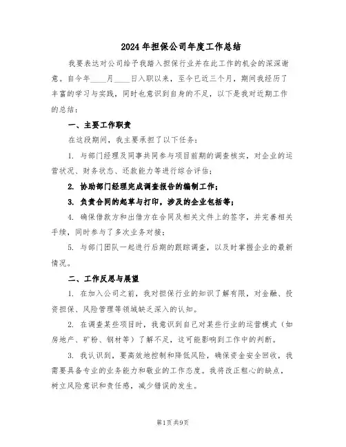 2024年担保公司年度工作总结（5篇）