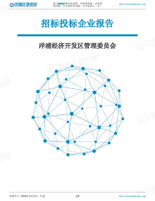 洋浦经济开发区管理委员会-招投标数据分析报告