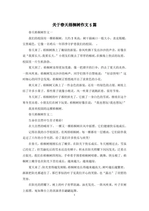 关于春天梧桐树作文5篇