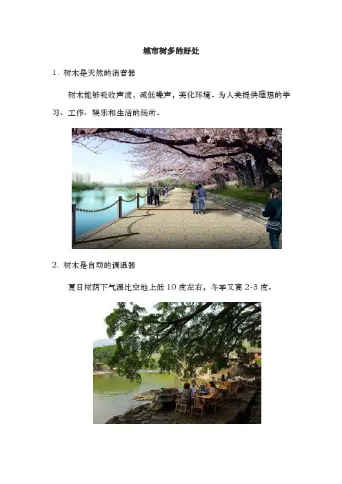 树木森林的好处