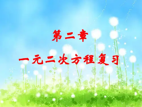 一元二次方程整章复习---完美版