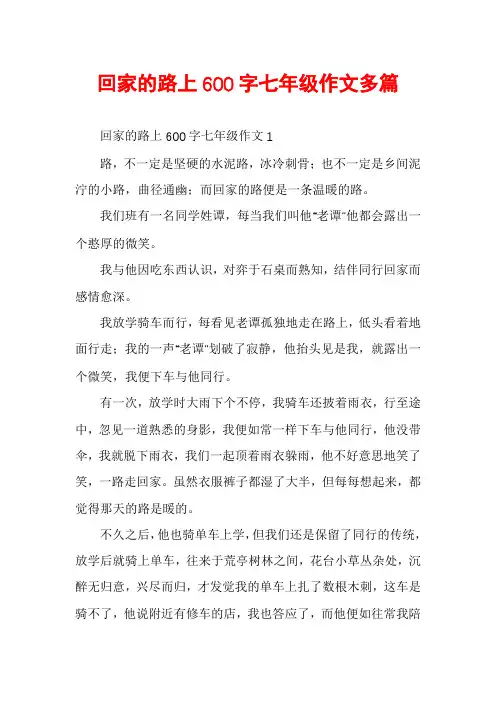 回家的路上600字七年级作文多篇