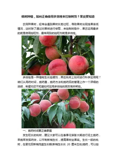 桃树种植，如何正确使用多效唑来控制树势？果农要知道