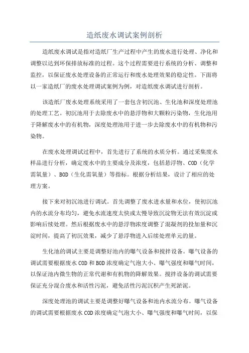 造纸废水调试案例剖析