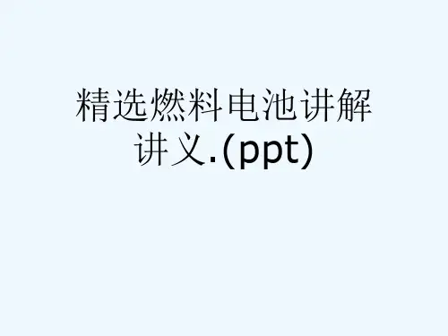 精选燃料电池讲解讲义.(ppt)