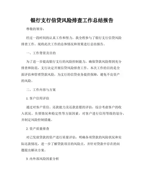 银行支行信贷风险排查工作总结报告