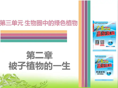 第三单元-第二章  被子植物的一生 公开课获奖课件