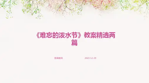 《难忘的泼水节》教案精选两篇