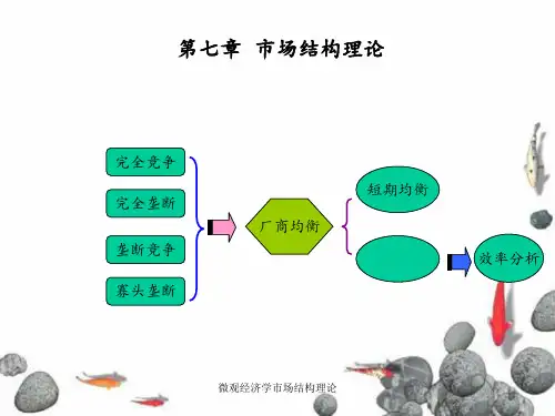 微观经济学市场结构理论