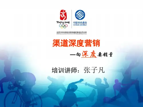 渠道深度营销概述