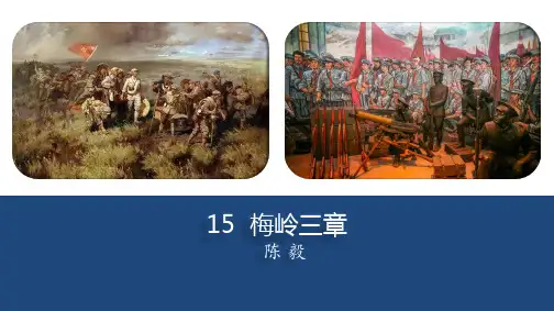 《梅岭三章》ppt课件