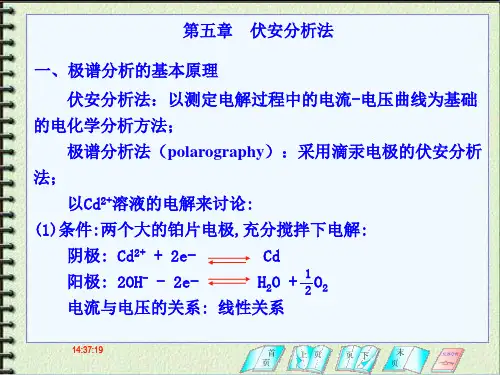 课件伏安分析法1