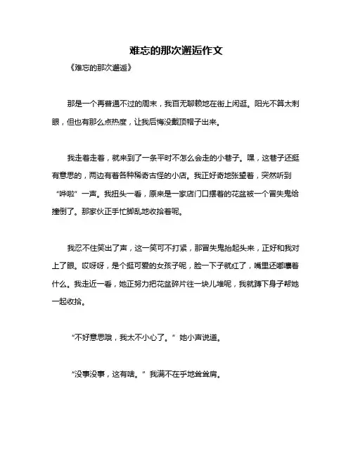 难忘的那次邂逅作文