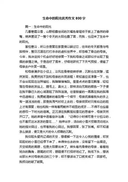 生命中的阳光优秀作文800字