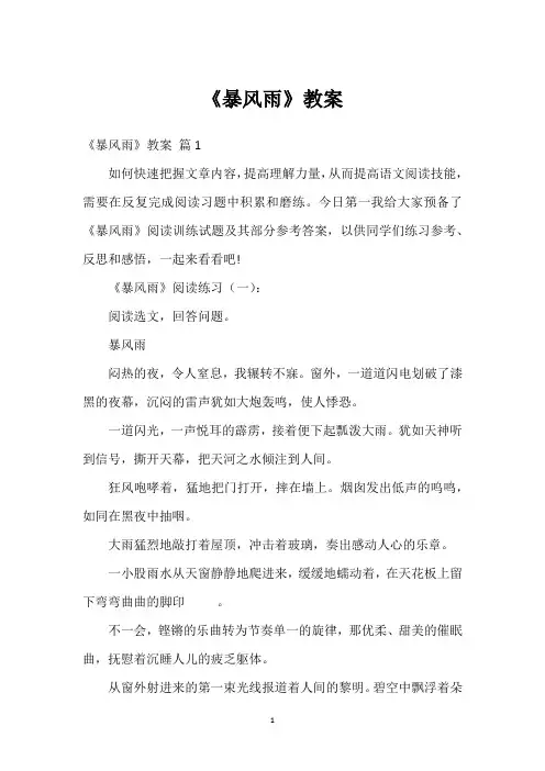 《暴风雨》教案