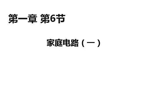 1.6家庭电路浙教版八年级科学下册课件