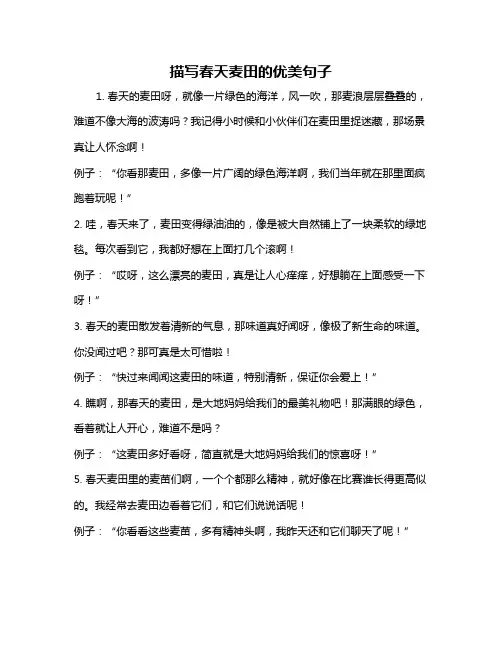 描写春天麦田的优美句子